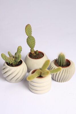 4 Pcs White Concrete Flower Pot Set Small Concrete Succulent Flower Pot Set 00313 - 1