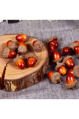 Acorns / 25 Pieces - 1