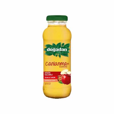 Apple - Cinnamon Ice Tea , 8.45floz - 250ml - 1