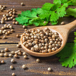 Coriander Piece , 1.2oz - 35g 2 pack - Thumbnail