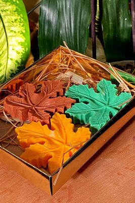 Autumn Inspired Vintage Scented, 3 Pieces Orange-Green-Brown Leaf Bath Soap in a Special Gift Box 54T3R5E4 - 1