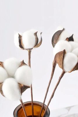 White Natural Cotton Branches 6Pcs - 1