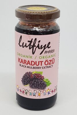 Black Mulberry Extract 300 Gr - 1