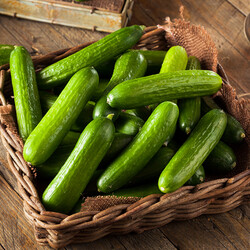 Fresh Çengelköy Cucumbers, 17.63oz - 500g - Thumbnail