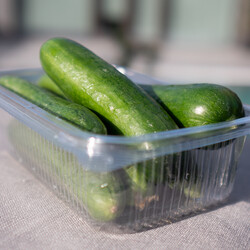 Fresh Çengelköy Cucumbers, 17.63oz - 500g - Thumbnail