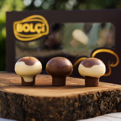 Chocolate Mushrooms , 8 pieces , 4.7oz - 120g - Thumbnail