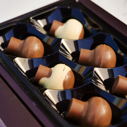 Chocolate Mushrooms , 8 pieces , 4.7oz - 120g - Thumbnail