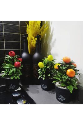 Delco Decorative Set of 3 with Artificial Fruit Tree - 1