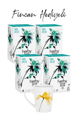 Detox Tea Fit Package with Cup Gift - 4 Pieces - 1