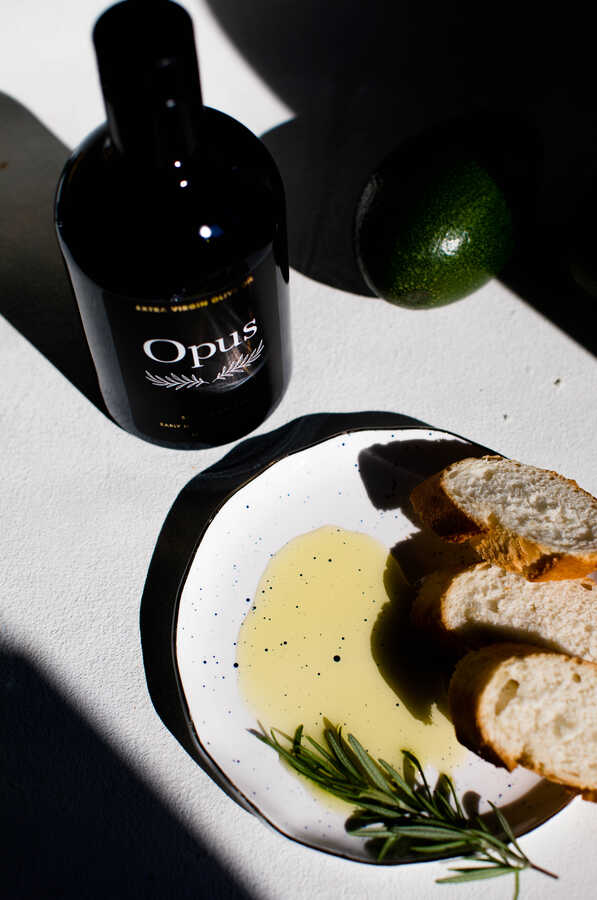 Extra Virgin Olive Oil, 16.9 fl.oz. - 500ml