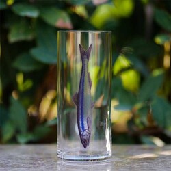 Fish Detailed Glass Set, 6 pieces - Thumbnail