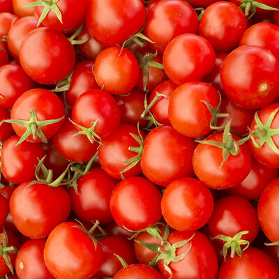 Fresh Cherry Tomato, 17.63oz - 500g - 4