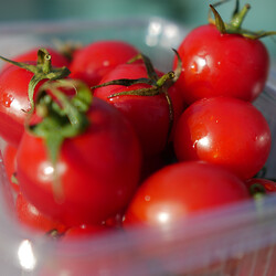 Fresh Cherry Tomato, 17.63oz - 500g - Thumbnail