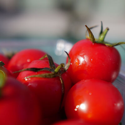Fresh Cherry Tomato, 17.63oz - 500g - 6