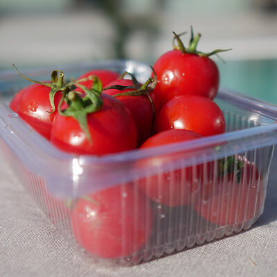 Fresh Cherry Tomato, 17.63oz - 500g - 2