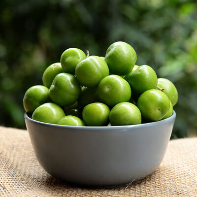 Fresh Green Plum, 17.63oz - 500g - 1