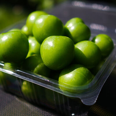 Fresh Green Plum, 17.63oz - 500g - 5