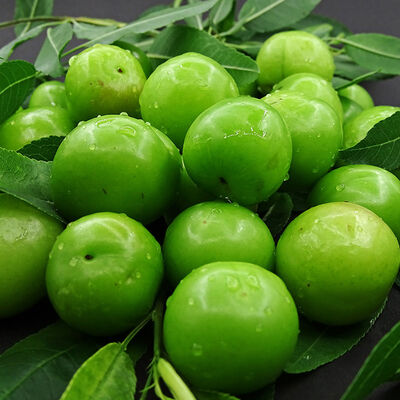 Fresh Green Plum, 17.63oz - 500g - 6