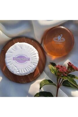 Gano Soap Transparent ( Transparent, Magical) Soap + 1 Piece Goat Milk Soap (1+1) GRCKGNSP - 1