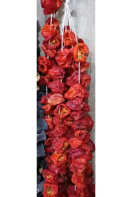 Gaziantep Sweet Dried Pepper 1 Vineyard - 1
