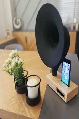 Grammy Acoustic Gramophone Musical Instrument Decorative Product Souvenirs GRAMMYAKGRMF - 1