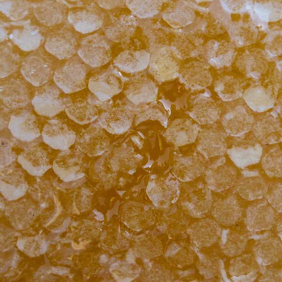 Natural Karakovan Honeycomb , 2.75lb - 1.25kg