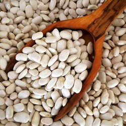 Large Dermason Beans , 1lb - 450g - Thumbnail