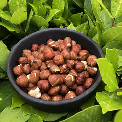 Natural Hazelnut Kernels , 5.3oz - 150g - Thumbnail
