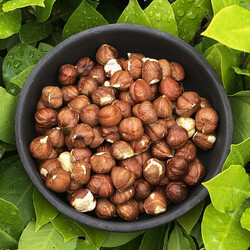 Natural Hazelnut Kernels , 5.3oz - 150g - Thumbnail