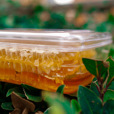 Natural Honeycomb , 1.1lb - 400g - 3