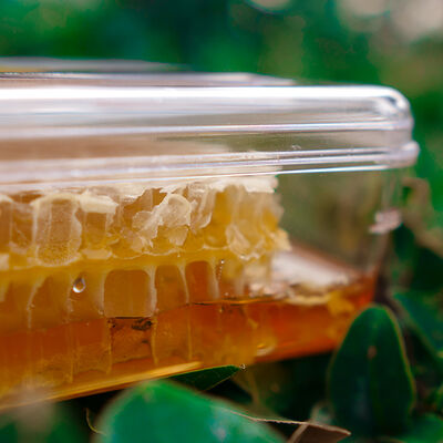 Natural Honeycomb , 1.1lb - 400g - 5