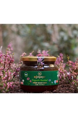 Organic Oak Honey 450 Gr - 1