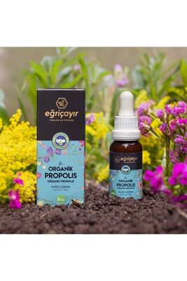Organic Water Based Propolis 20 Ml - 1