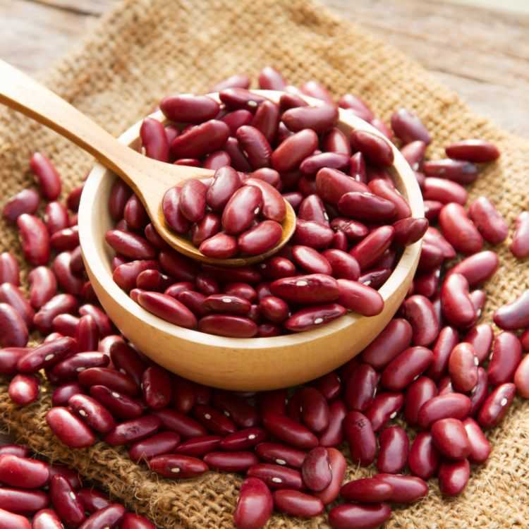 Red Beans , 1lb - 450g