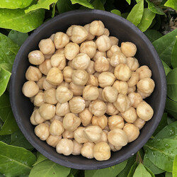 Roasted Hazelnut Kernels , 5.3oz - 150g - Thumbnail