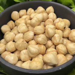 Roasted Hazelnut Kernels , 5.3oz - 150g - Thumbnail