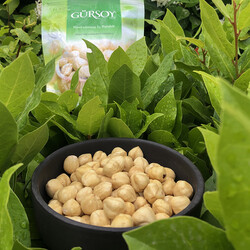 Roasted Hazelnut Kernels , 5.3oz - 150g - Thumbnail