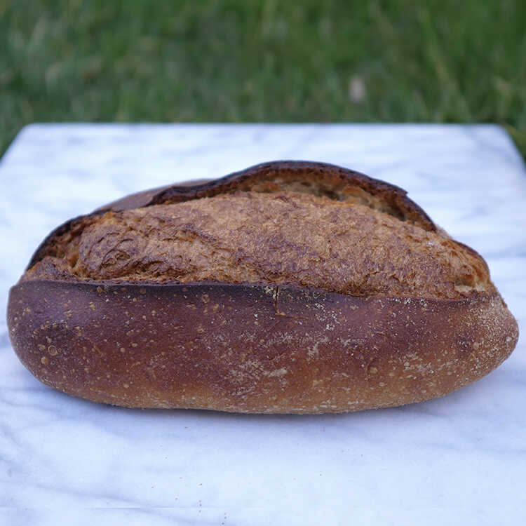 Sourdough Village Type Bread , 17oz - 482g