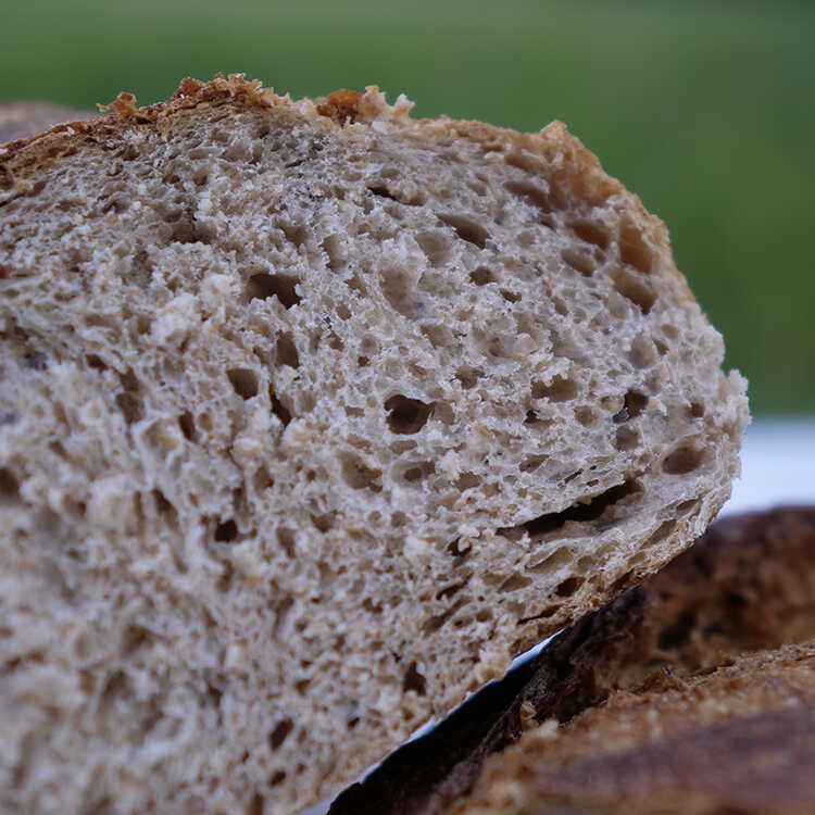 Sourdough Whole Wheat Bread , 16.5oz - 468g