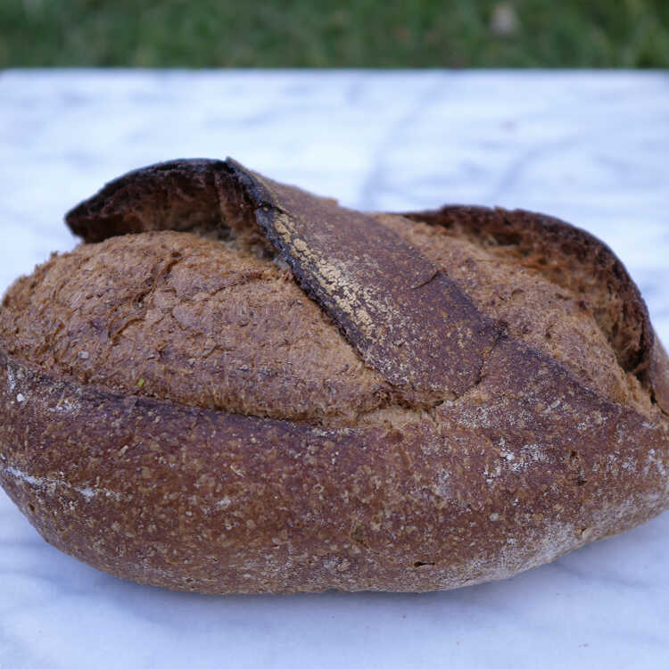 Sourdough Whole Wheat Bread , 16.5oz - 468g